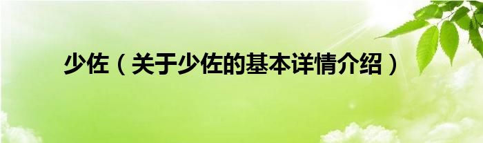 少佐（关于少佐的基本详情介绍）