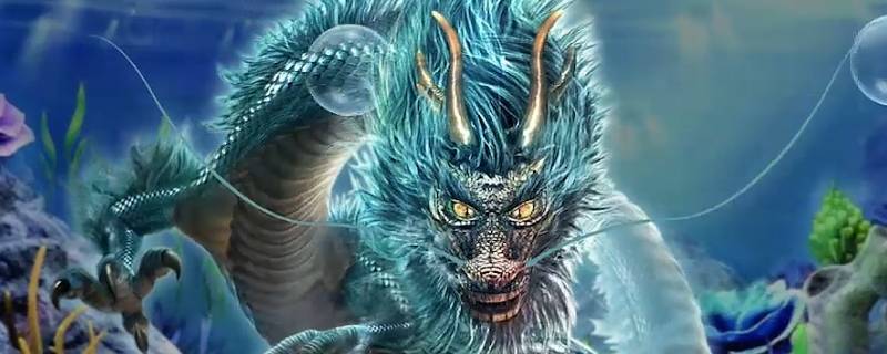 金龙油代表什么生肖