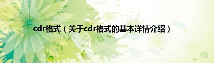 cdr格式（关于cdr格式的基本详情介绍）