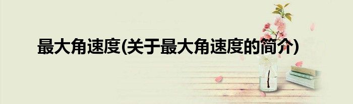 最大角速度(关于最大角速度的简介)