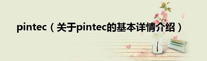 pintec（关于pintec的基本详情介绍）