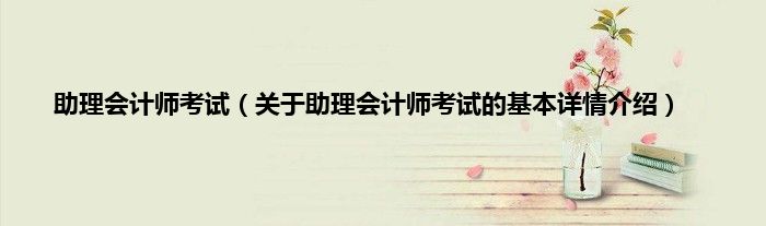 助理会计师考试（关于助理会计师考试的基本详情介绍）