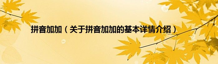 拼音加加（关于拼音加加的基本详情介绍）