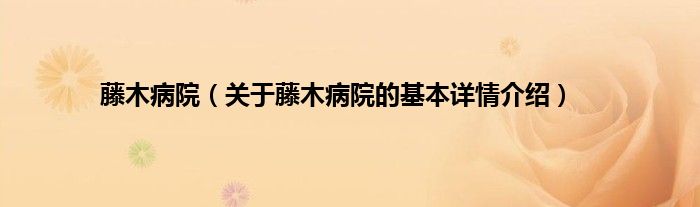藤木病院（关于藤木病院的基本详情介绍）