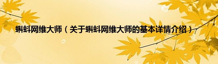 蝌蚪网维大师（关于蝌蚪网维大师的基本详情介绍）