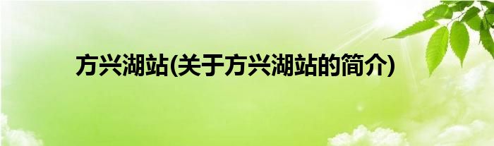 方兴湖站(关于方兴湖站的简介)