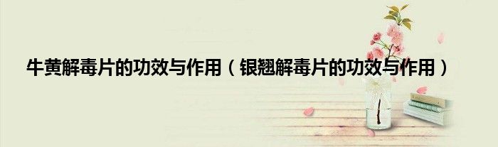 牛黄解毒片的功效与作用（银翘解毒片的功效与作用）