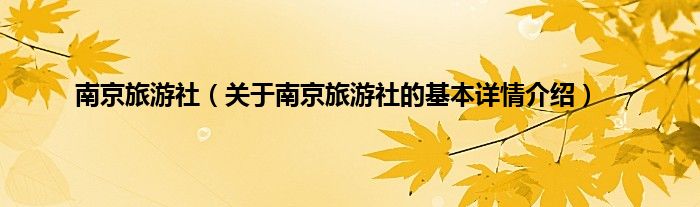 南京旅游社（关于南京旅游社的基本详情介绍）