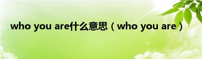 who you are什么意思（who you are）