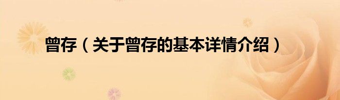 曾存（关于曾存的基本详情介绍）