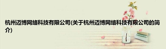 杭州迈博网络科技有限公司(关于杭州迈博网络科技有限公司的简介)