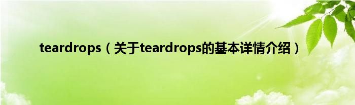 teardrops（关于teardrops的基本详情介绍）