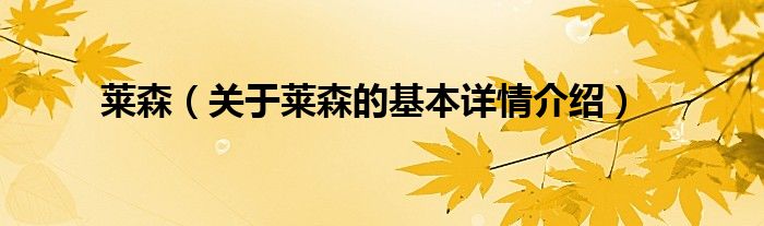 莱森（关于莱森的基本详情介绍）
