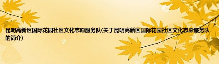 昆明高新区国际花园社区文化志愿服务队(关于昆明高新区国际花园社区文化志愿服务队的简介)