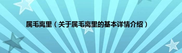 属毛离里（关于属毛离里的基本详情介绍）