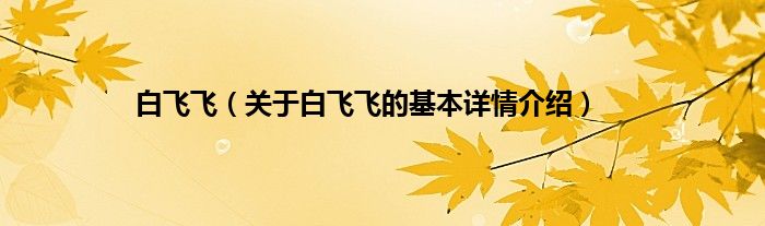 白飞飞（关于白飞飞的基本详情介绍）