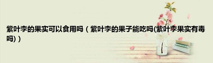紫叶李的果实可以食用吗（紫叶李的果子能吃吗(紫叶李果实有毒吗)）