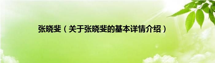 张晓斐（关于张晓斐的基本详情介绍）
