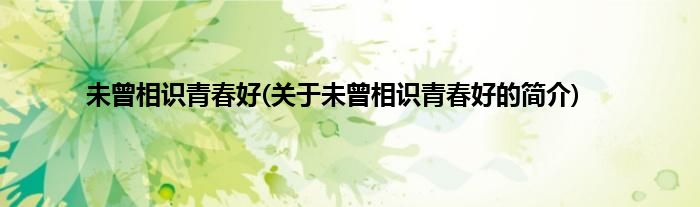 未曾相识青春好(关于未曾相识青春好的简介)