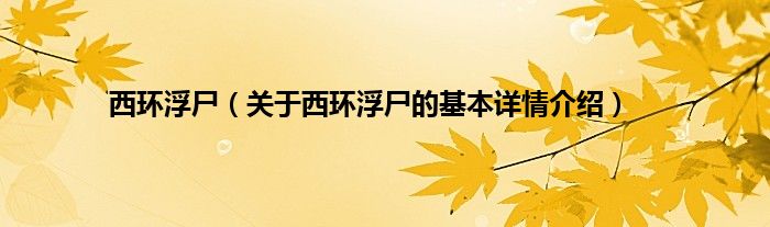 西环浮尸（关于西环浮尸的基本详情介绍）