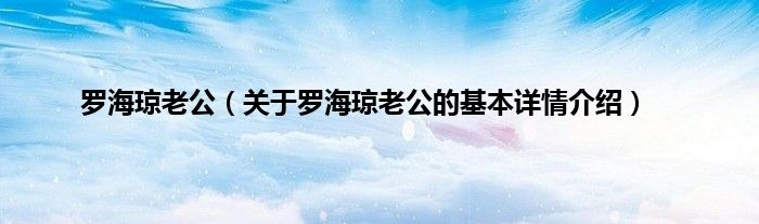罗海琼老公（关于罗海琼老公的基本详情介绍）