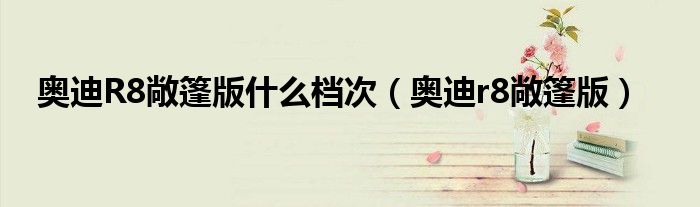 奥迪R8敞篷版什么档次（奥迪r8敞篷版）