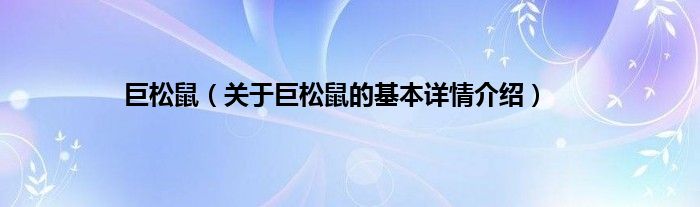 巨松鼠（关于巨松鼠的基本详情介绍）