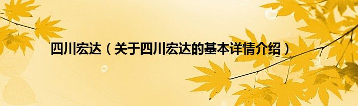 四川宏达（关于四川宏达的基本详情介绍）