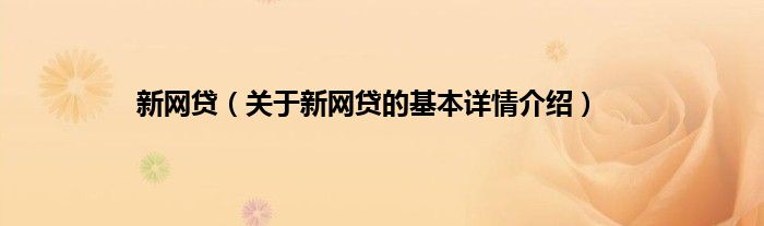 新网贷（关于新网贷的基本详情介绍）