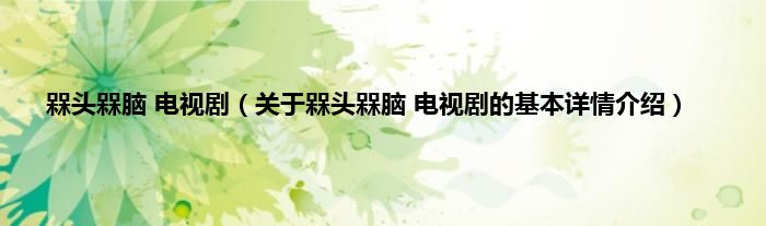 槑头槑脑 电视剧（关于槑头槑脑 电视剧的基本详情介绍）