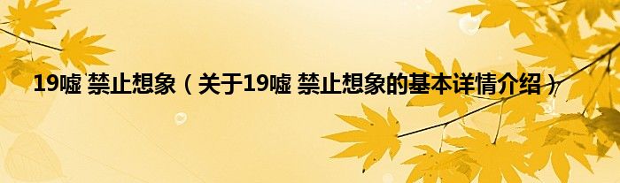 19嘘 禁止想象（关于19嘘 禁止想象的基本详情介绍）