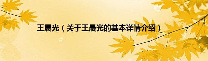 王晨光（关于王晨光的基本详情介绍）