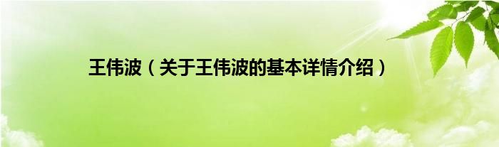 王伟波（关于王伟波的基本详情介绍）