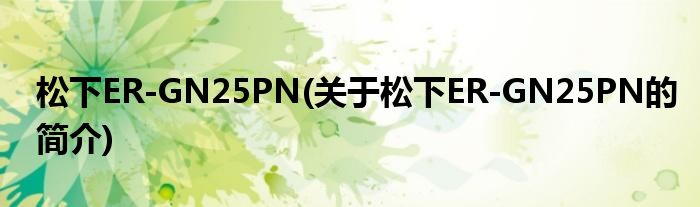 松下ER-GN25PN(关于松下ER-GN25PN的简介)