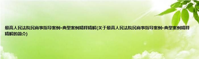 最高人民法院民商事指导案例·典型案例精释精解(关于最高人民法院民商事指导案例·典型案例精释精解的简介)