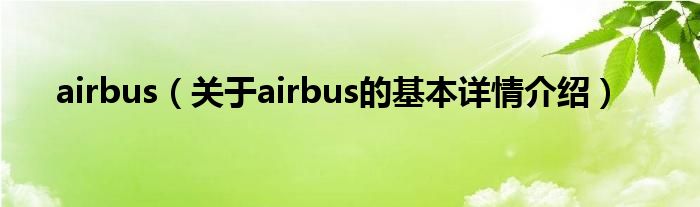 airbus（关于airbus的基本详情介绍）