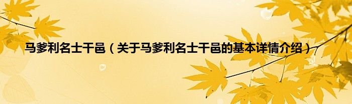 马爹利名士干邑（关于马爹利名士干邑的基本详情介绍）