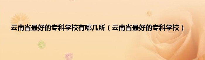 云南省最好的专科学校有哪几所（云南省最好的专科学校）