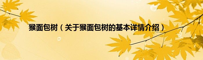 猴面包树（关于猴面包树的基本详情介绍）