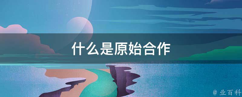 什么是原始合作