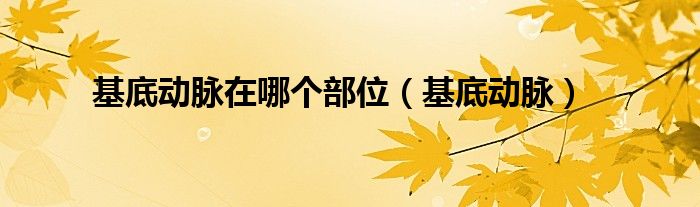 基底动脉在哪个部位（基底动脉）