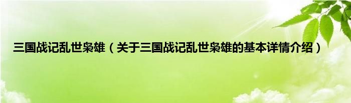 三国战记乱世枭雄（关于三国战记乱世枭雄的基本详情介绍）