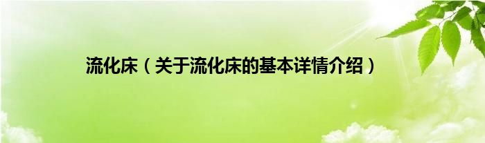 流化床（关于流化床的基本详情介绍）