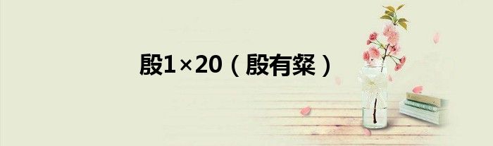 殷1×20（殷有粲）