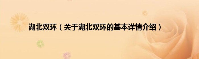 湖北双环（关于湖北双环的基本详情介绍）